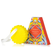 Load image into Gallery viewer, Spongelle Riviera Collection