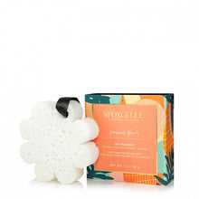 Load image into Gallery viewer, Spongelle Wanderlust Collection