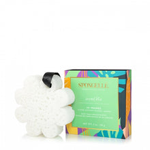 Load image into Gallery viewer, Spongelle Wanderlust Collection